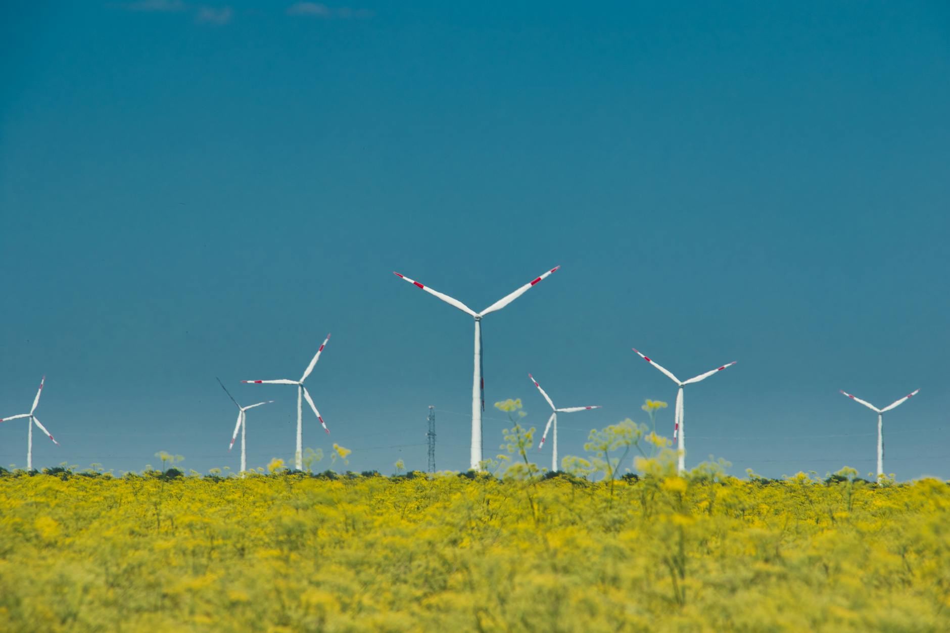 Energy-Efficient AI: Developing Sustainable Practices to Reduce Environmental Impact